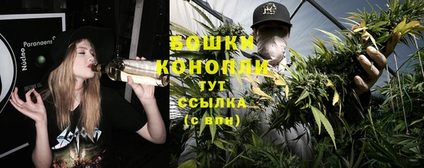 прущие крисы Ельня