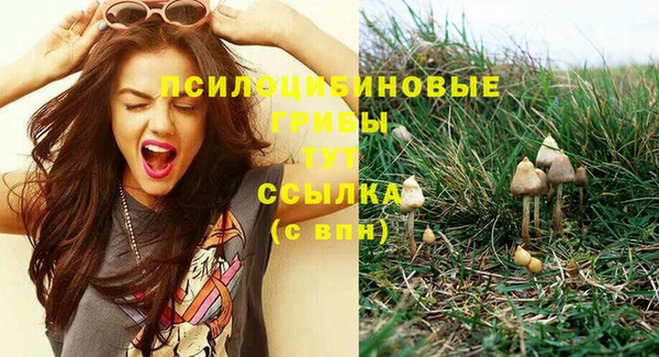 эйфоретик Абинск