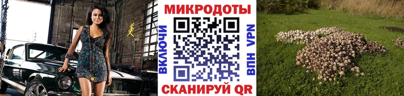 Галлюциногенные грибы Magic Shrooms купить наркотик Яблоновский